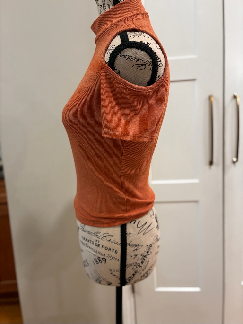 gaze Rust Cold-Shoulder Ribbed Mock Neck Top - Picture 2 of 3